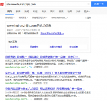 site网址能够看出网站存在什么问题